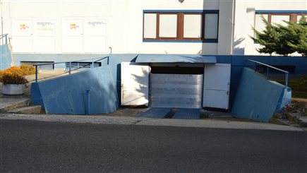dsc 0069
